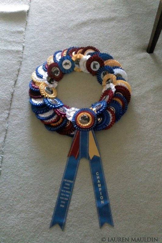 Download Display Award Ribbons and Rosettes - Personalized Ribbons